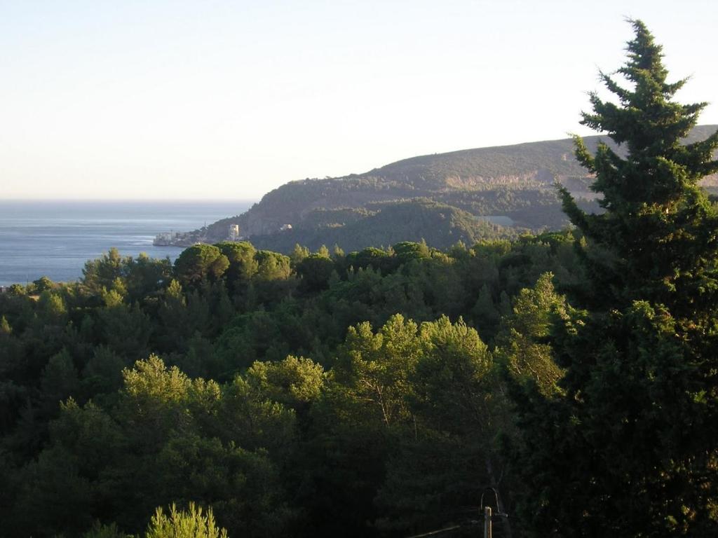 Quinta De Sao Filipe Villa Setúbal Rum bild